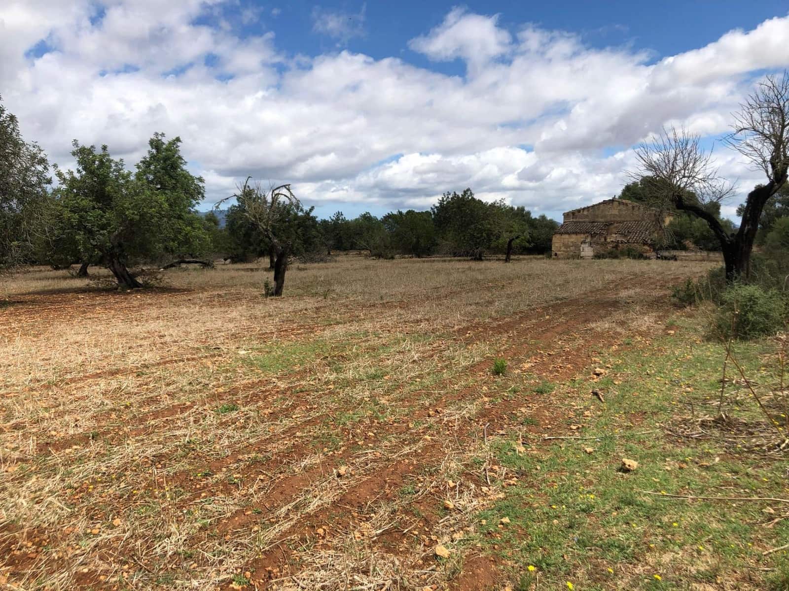 Terreno Non Edificato in vendita in Inca - 290.000 € (Rif: 9639501)