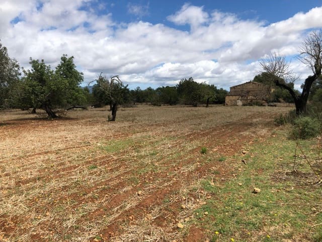 Terreno Non Edificato in vendita in Inca - 290.000 € (Rif: 9639501)