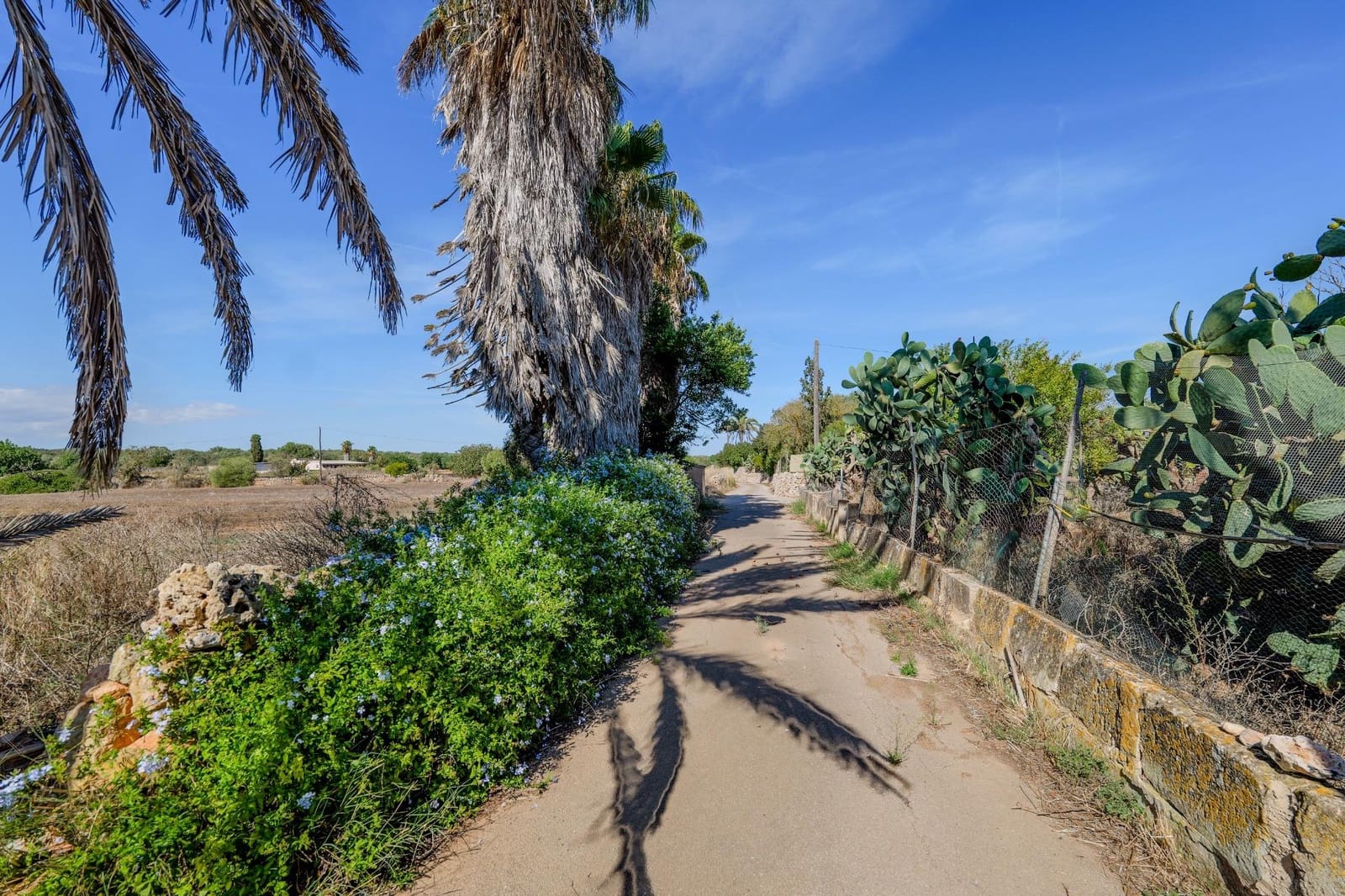 6 chambre Villa/Maison à vendre à Campos avec garage - 1 300 000 € (Ref: 9639503)