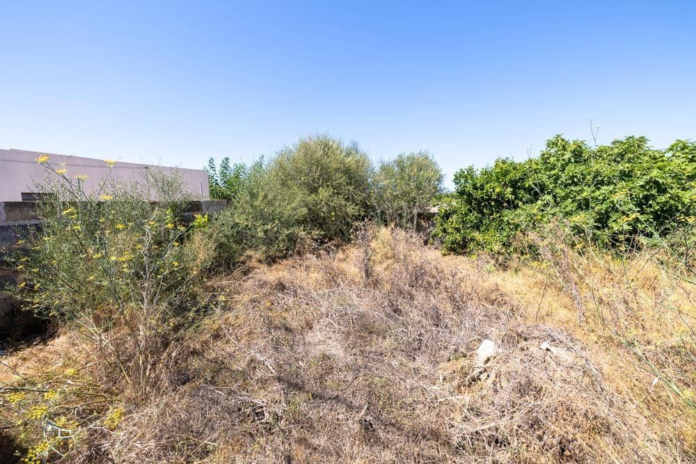 Bouwgrond te koop in Ses Salines - € 300.000 (Ref: 9656144)
