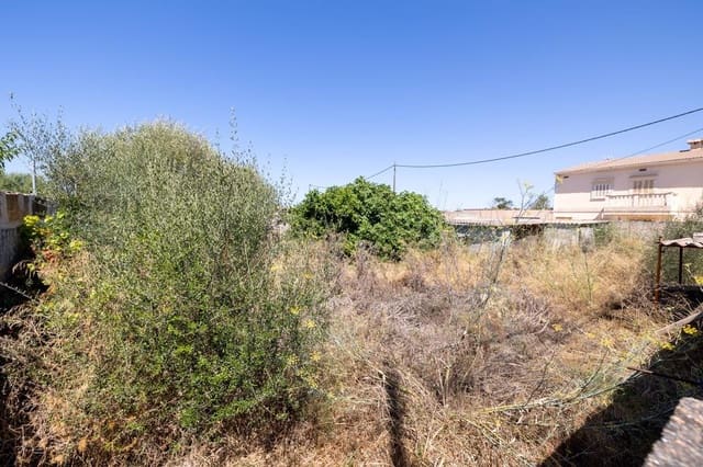 Byggetomt til salgs i Ses Salines - € 300 000 (Ref: 9656144)