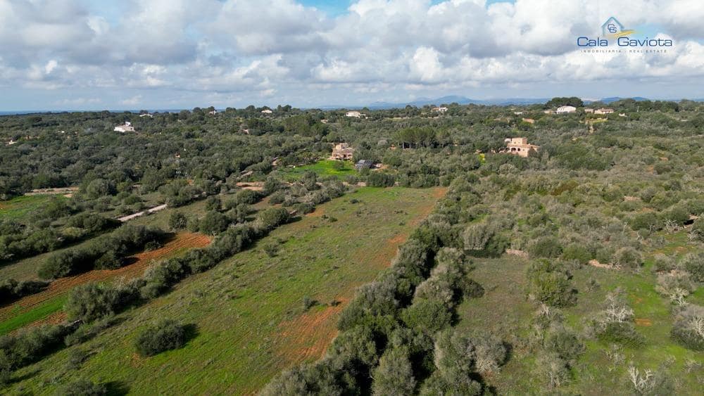 Mark till salu i Ses Salines - 390 000 € (Ref: 9674271)