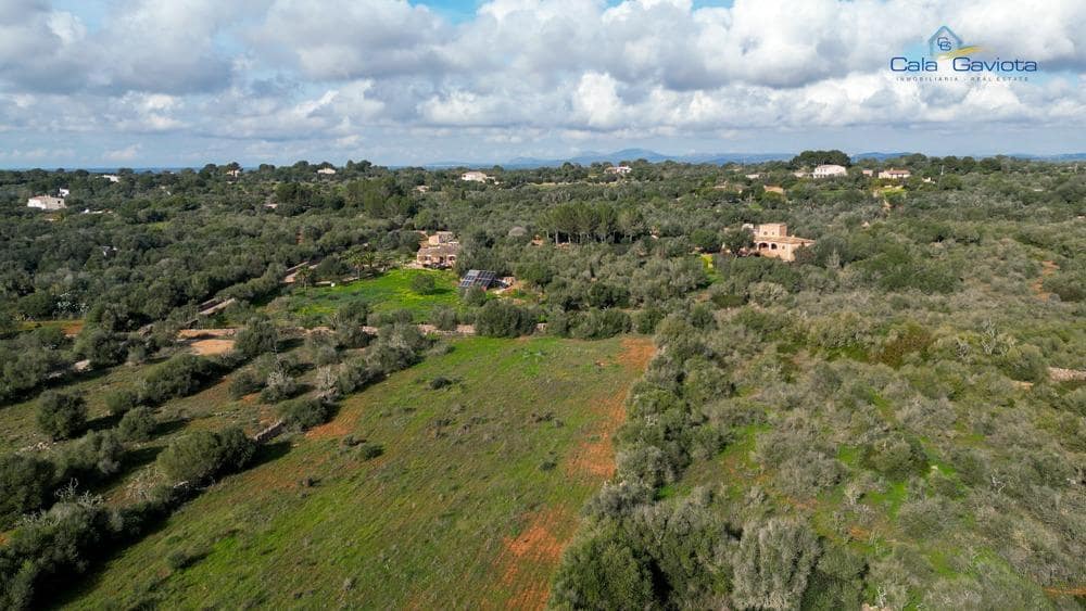 Mark till salu i Ses Salines - 390 000 € (Ref: 9674271)