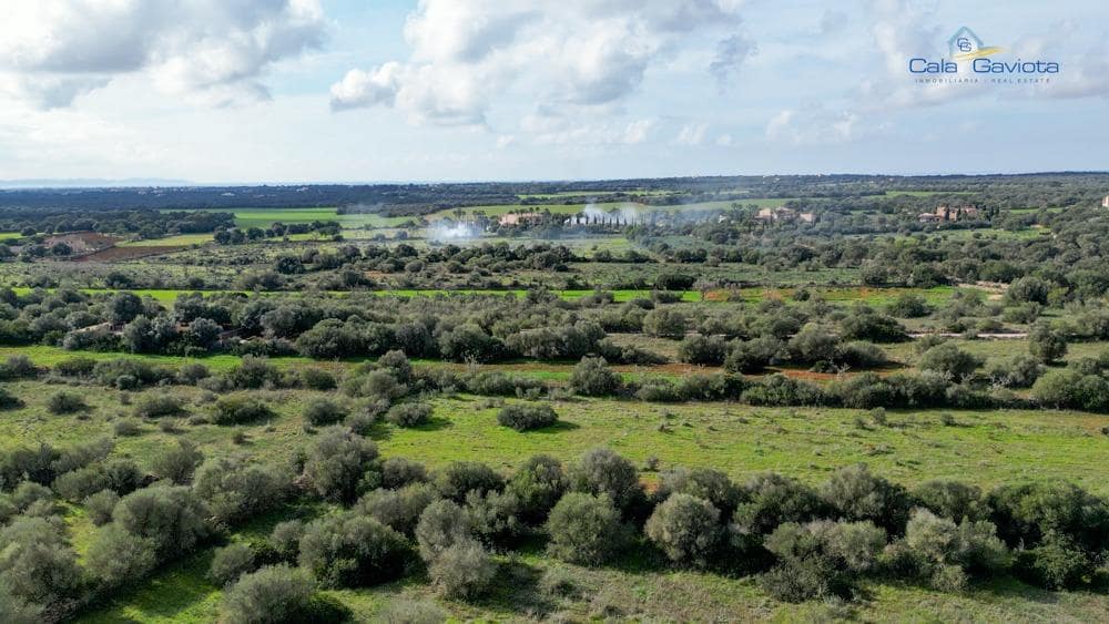 Mark till salu i Ses Salines - 390 000 € (Ref: 9674271)