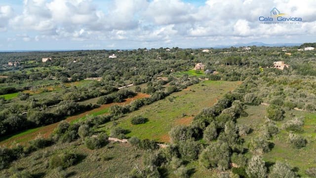 Undeveloped Land for sale in Ses Salines - € 390,000 (Ref: 9674271)