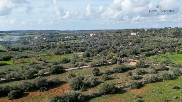 Undeveloped Land for sale in Ses Salines - € 390,000 (Ref: 9674271)