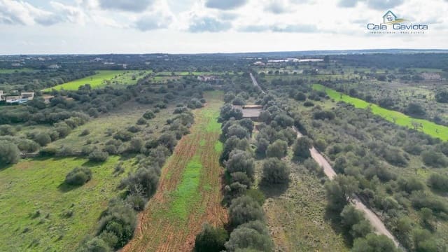 Undeveloped Land for sale in Ses Salines - € 390,000 (Ref: 9674271)