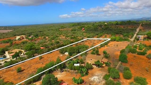 Landgrundstück zu verkaufen in Ses Salines - 590.000 € (Ref: 9690648)