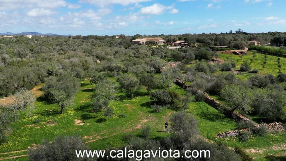 Terre non Aménagée à vendre à Ses Salines - 470 000 € (Ref: 9773094)