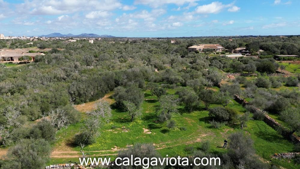 Terre non Aménagée à vendre à Ses Salines - 470 000 € (Ref: 9773094)