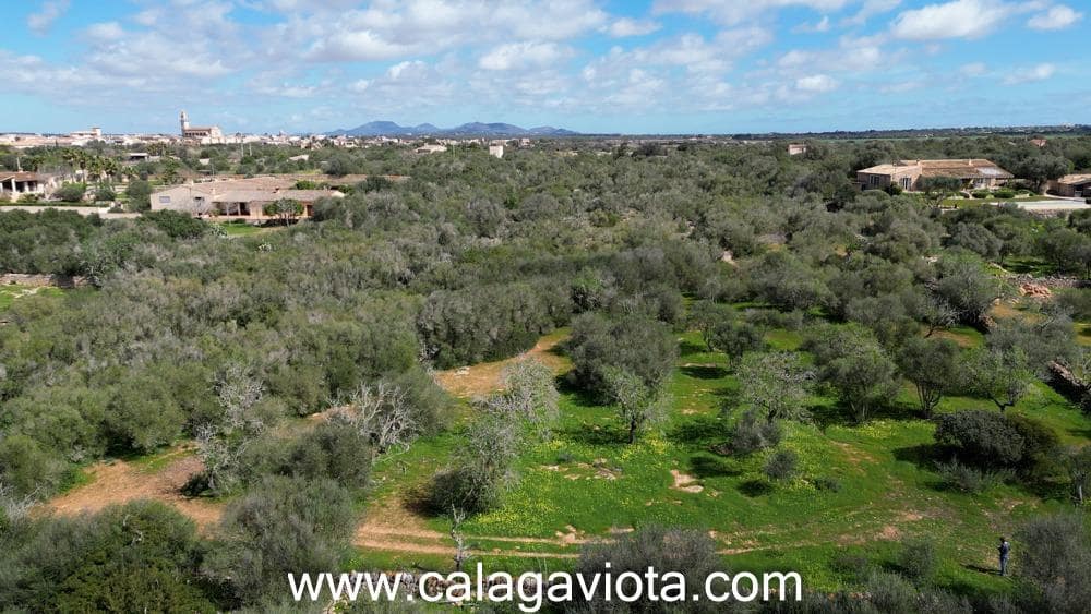 Terre non Aménagée à vendre à Ses Salines - 470 000 € (Ref: 9773094)