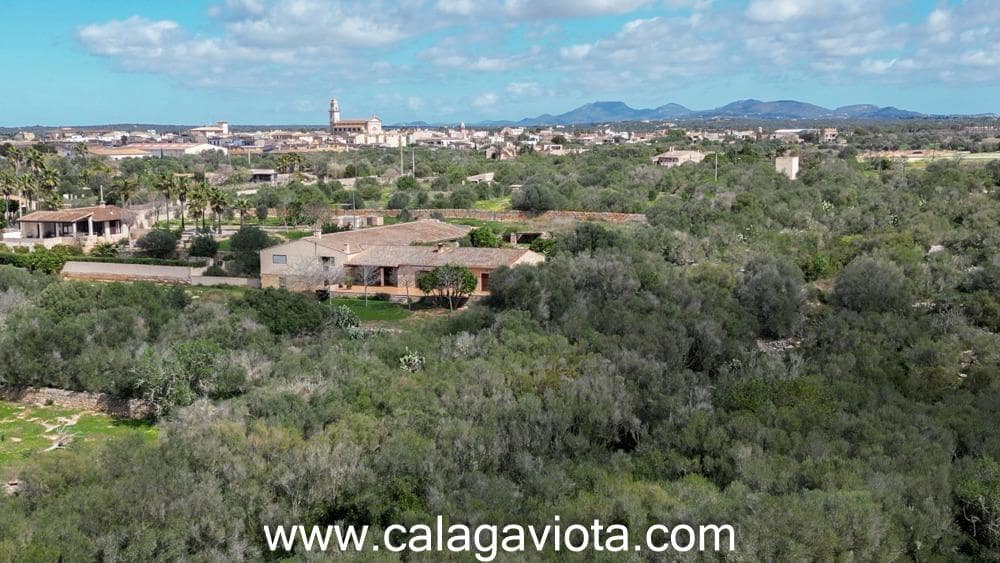 Terre non Aménagée à vendre à Ses Salines - 470 000 € (Ref: 9773094)