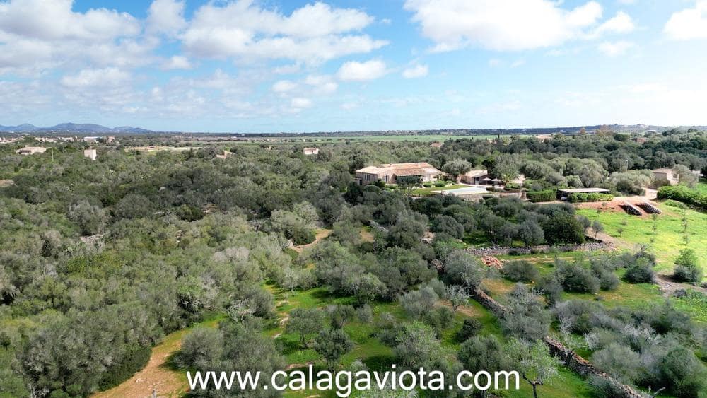 Terre non Aménagée à vendre à Ses Salines - 470 000 € (Ref: 9773094)