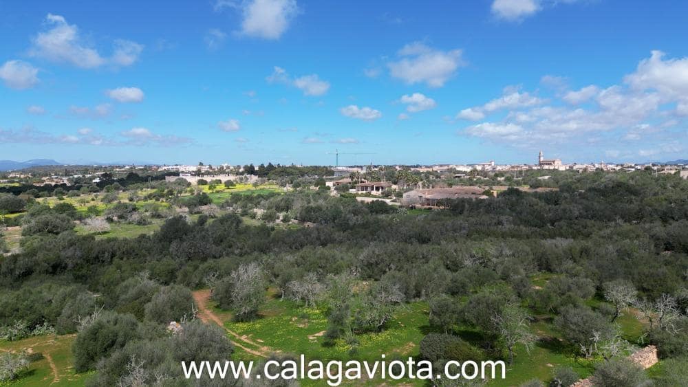 Terre non Aménagée à vendre à Ses Salines - 470 000 € (Ref: 9773094)