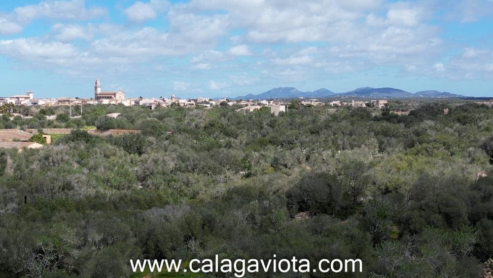 Terre non Aménagée à vendre à Ses Salines - 470 000 € (Ref: 9773094)