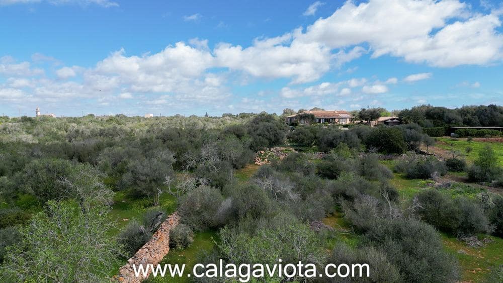 Terre non Aménagée à vendre à Ses Salines - 470 000 € (Ref: 9773094)