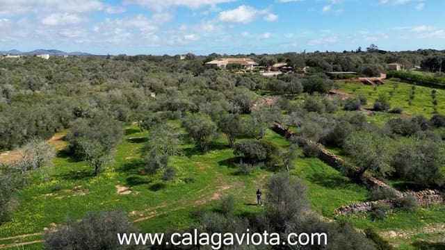 Terre non Aménagée à vendre à Ses Salines - 470 000 € (Ref: 9773094)