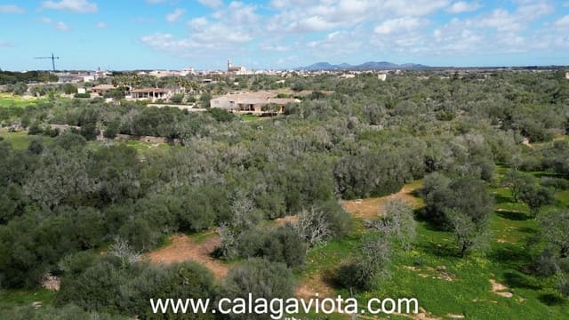 Terre non Aménagée à vendre à Ses Salines - 470 000 € (Ref: 9773094)