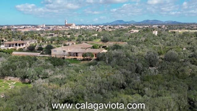 Terre non Aménagée à vendre à Ses Salines - 470 000 € (Ref: 9773094)