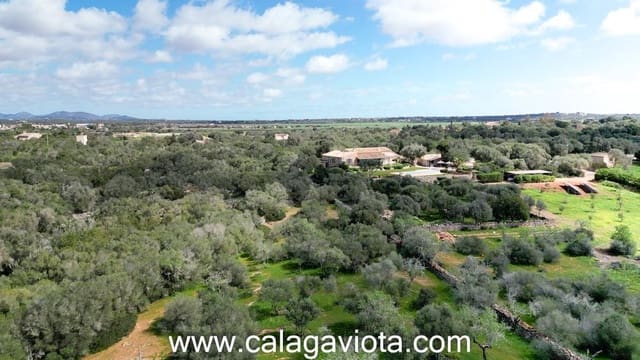 Terre non Aménagée à vendre à Ses Salines - 470 000 € (Ref: 9773094)