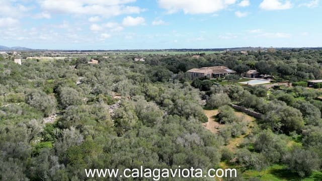 Terre non Aménagée à vendre à Ses Salines - 470 000 € (Ref: 9773094)