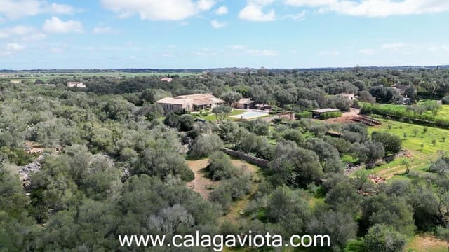 Terre non Aménagée à vendre à Ses Salines - 470 000 € (Ref: 9773094)