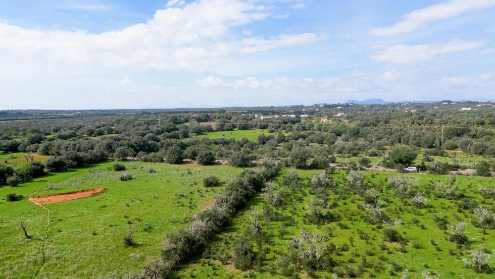 Teren niezagospodarowany na sprzedaż w Ses Salines - 585 000 € (Ref: 9791082)