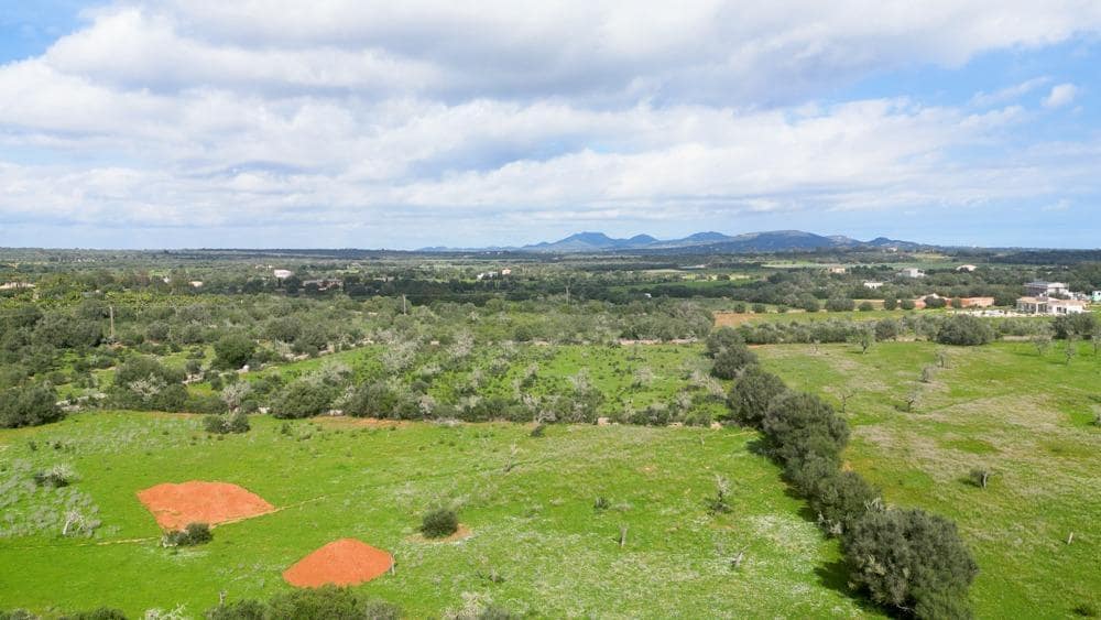 Teren niezagospodarowany na sprzedaż w Ses Salines - 585 000 € (Ref: 9791082)