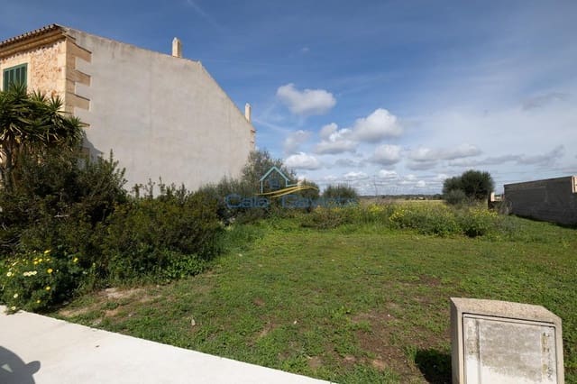 Tontti myytävänä paikassa Ses Salines - 290 000 € (Ref: 9829196)