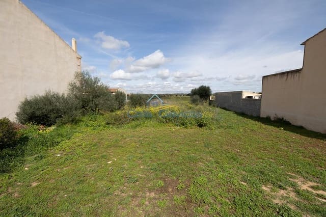 Tontti myytävänä paikassa Ses Salines - 290 000 € (Ref: 9829196)
