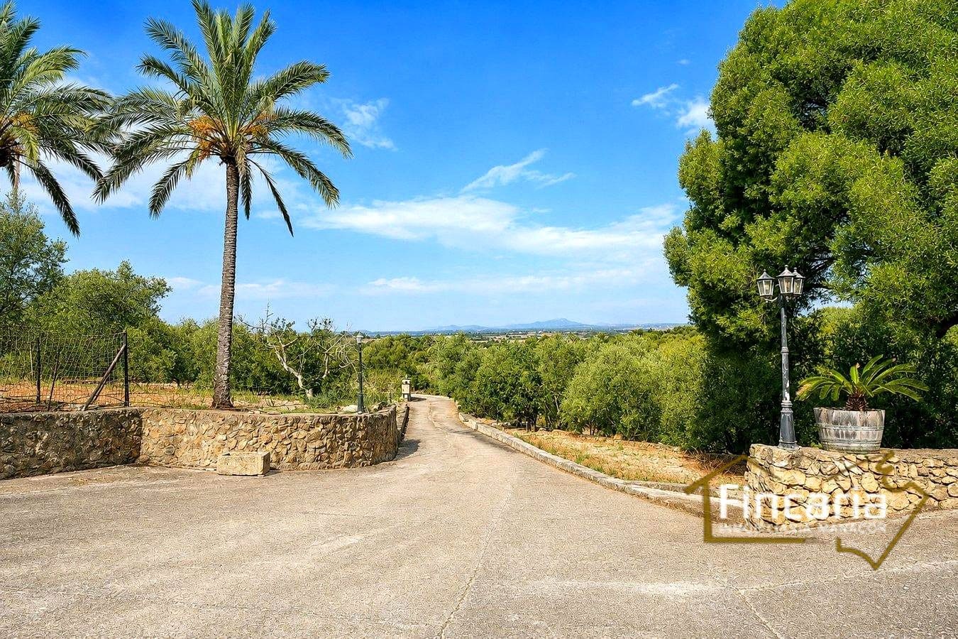 5 bedroom Finca/Country House for sale in Manacor with pool - € 4,000,000 (Ref: 10012135)