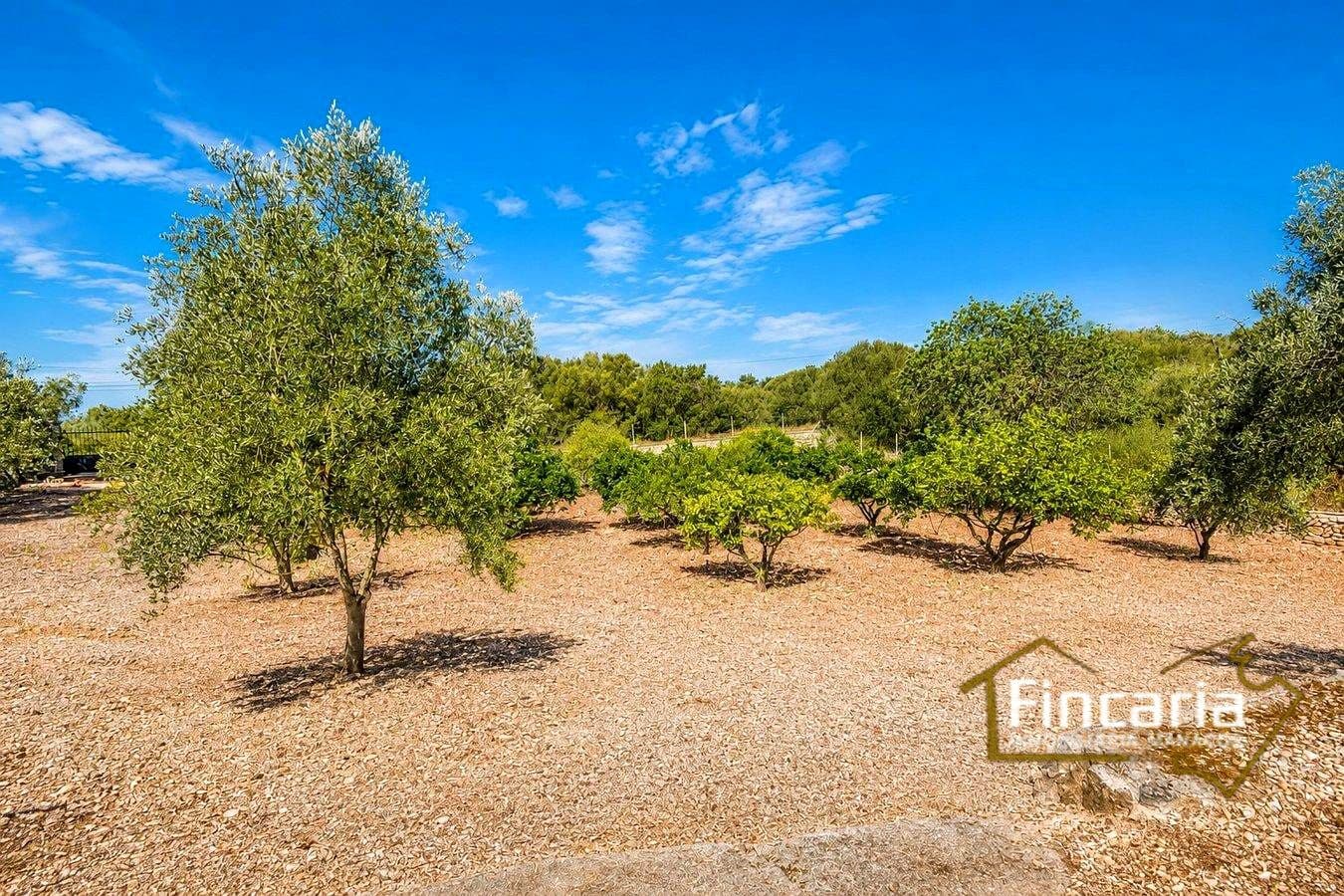 5 bedroom Finca/Country House for sale in Manacor with pool - € 4,000,000 (Ref: 10012135)