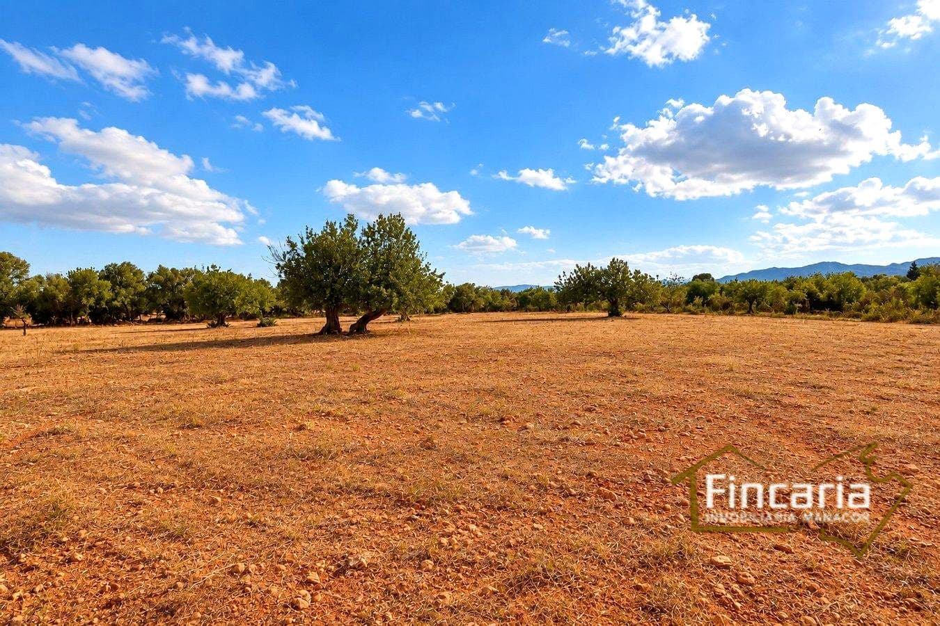 2 camera da letto Finca/Casa di Campagna in vendita in Marratxinet (Marratxi) con garage - 735.000 € (Rif: 10154186)