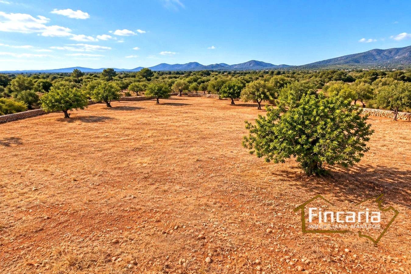 2 camera da letto Finca/Casa di Campagna in vendita in Marratxinet (Marratxi) con garage - 735.000 € (Rif: 10154186)