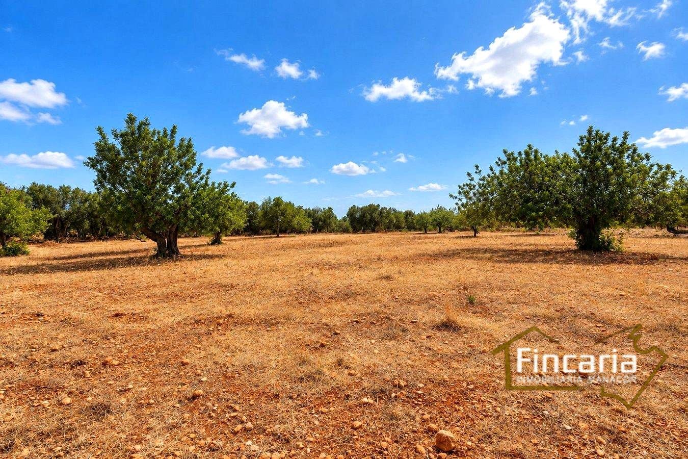 2 camera da letto Finca/Casa di Campagna in vendita in Marratxinet (Marratxi) con garage - 735.000 € (Rif: 10154186)