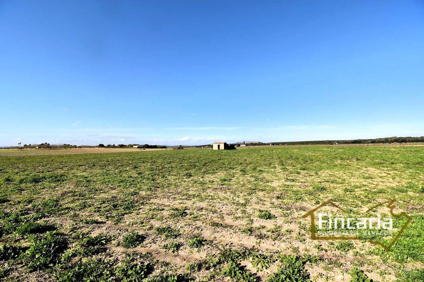 Teren niezagospodarowany na sprzedaż w Felanitx - 169 000 € (Ref: 8822755)