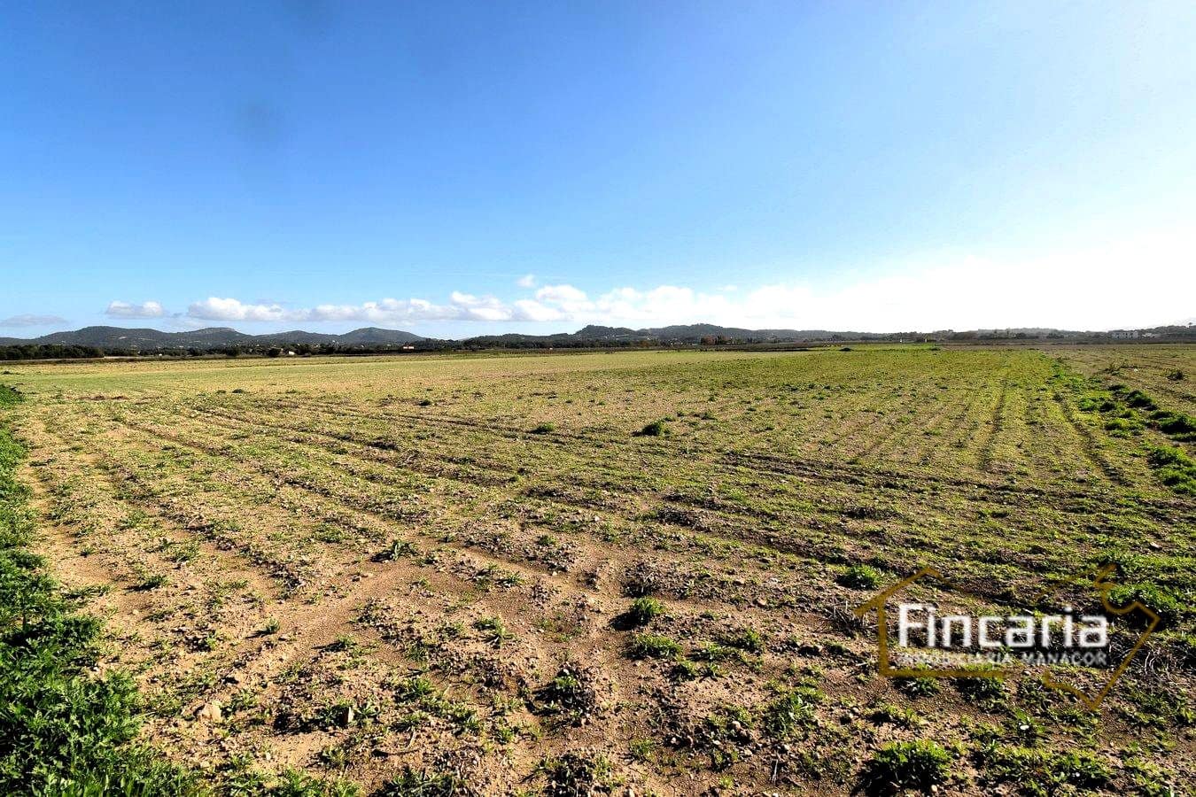 Teren niezagospodarowany na sprzedaż w Felanitx - 169 000 € (Ref: 8822755)