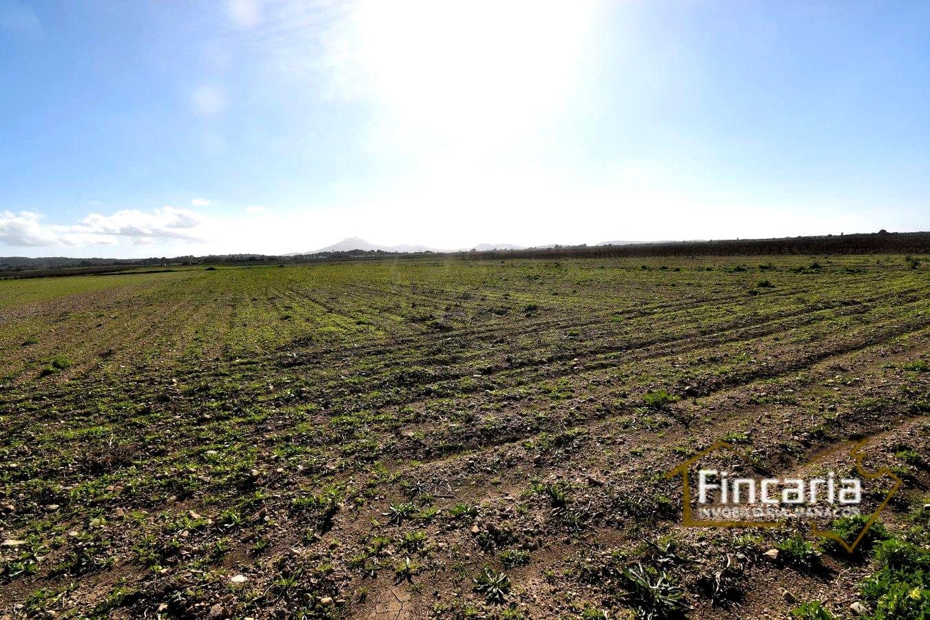 Teren niezagospodarowany na sprzedaż w Felanitx - 169 000 € (Ref: 8822755)