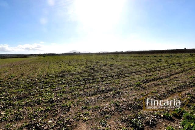 Terreno Não Urbanizado para venda em Felanitx - 169 000 € (Ref: 8822755)