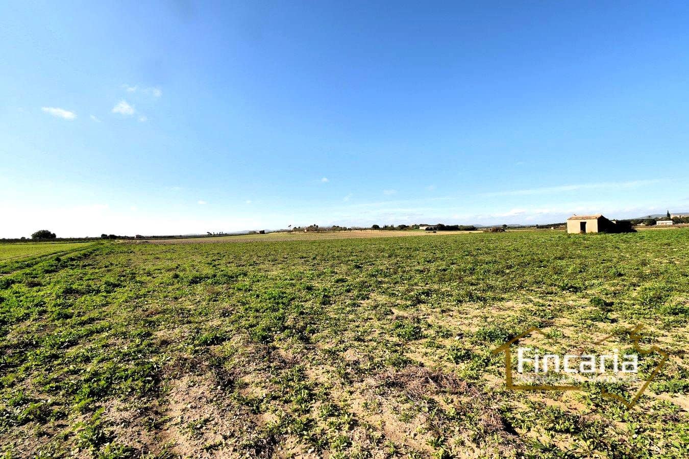 Teren niezagospodarowany na sprzedaż w Felanitx - 169 000 € (Ref: 8822755)