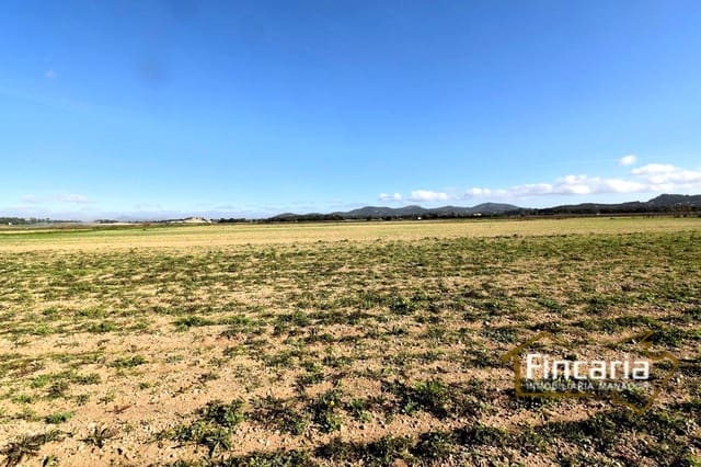 Terreno Não Urbanizado para venda em Felanitx - 169 000 € (Ref: 8822755)