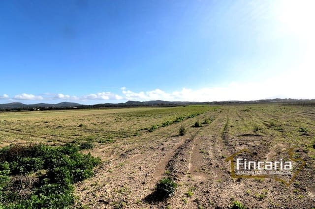 Terreno Não Urbanizado para venda em Felanitx - 169 000 € (Ref: 8822755)