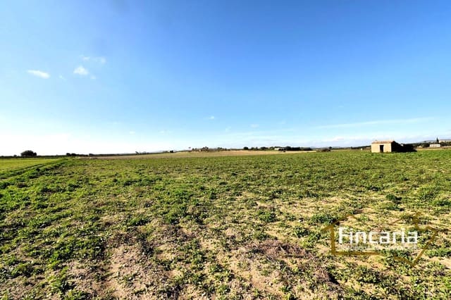 Terreno Não Urbanizado para venda em Felanitx - 169 000 € (Ref: 8822755)