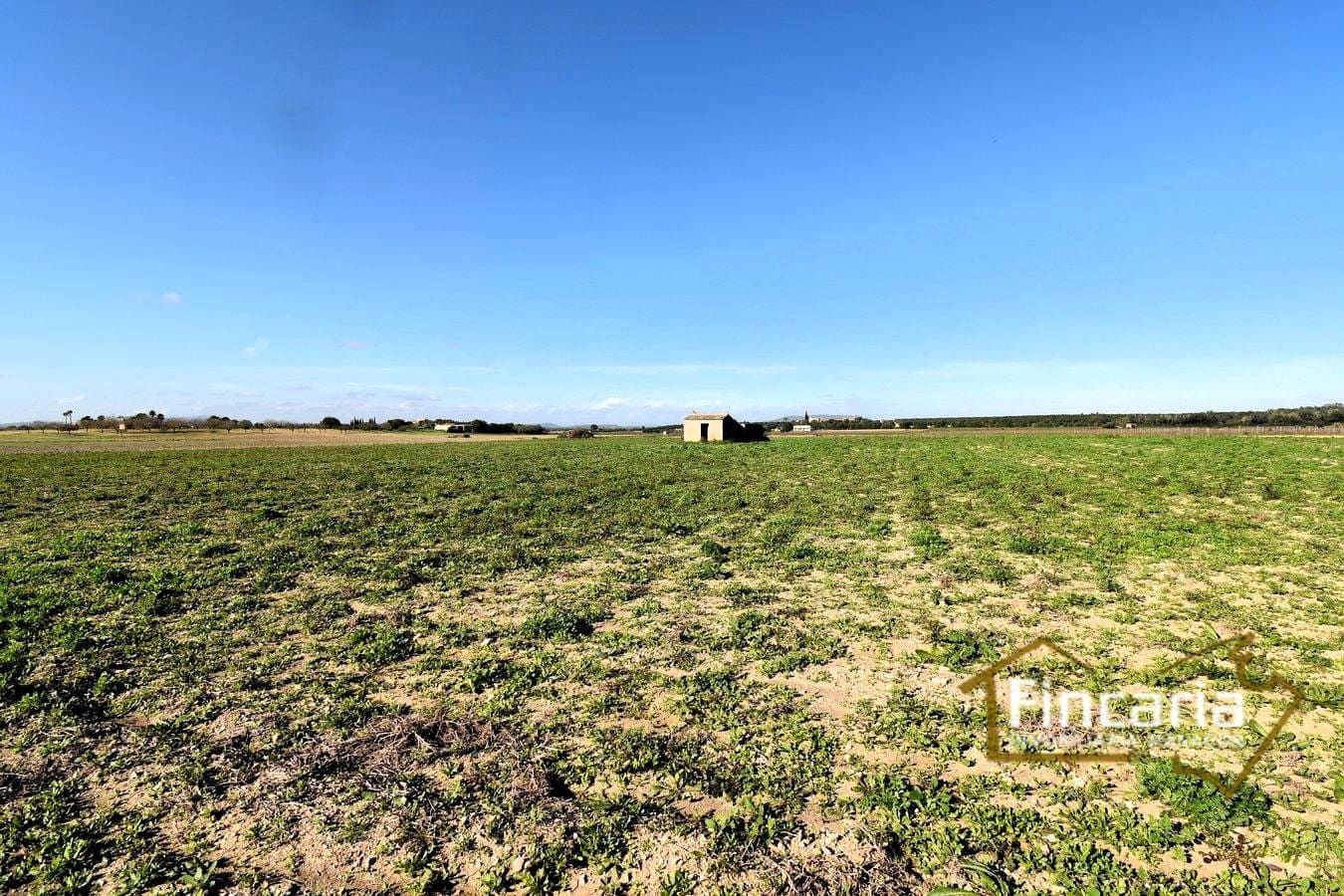 Teren niezagospodarowany na sprzedaż w Felanitx - 169 000 € (Ref: 8822755)