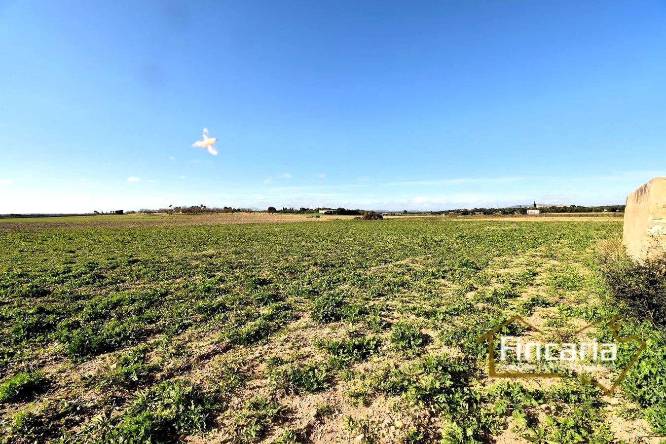 Teren niezagospodarowany na sprzedaż w Felanitx - 169 000 € (Ref: 8822755)