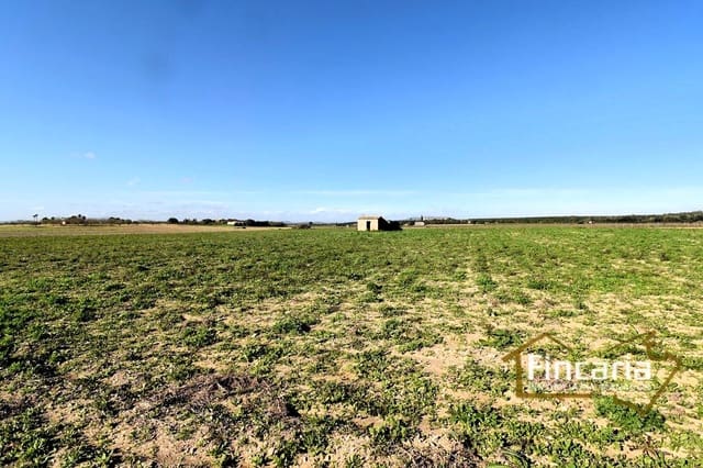 Terreno Não Urbanizado para venda em Felanitx - 169 000 € (Ref: 8822755)