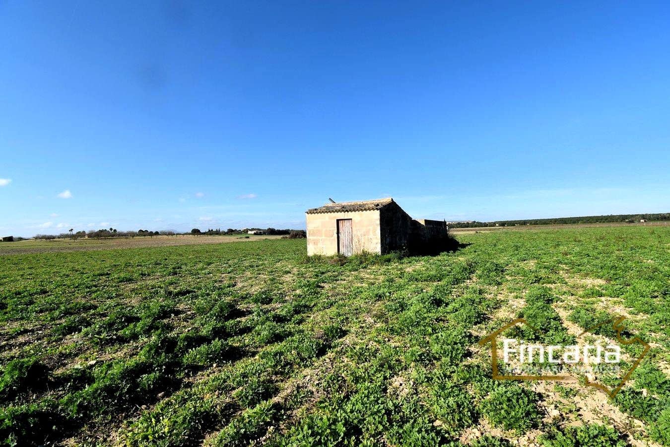 Teren niezagospodarowany na sprzedaż w Felanitx - 169 000 € (Ref: 8822755)