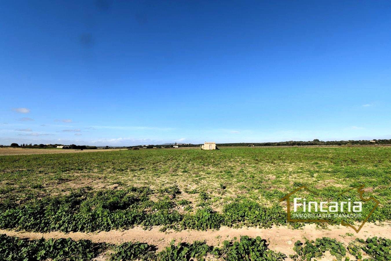 Teren niezagospodarowany na sprzedaż w Felanitx - 169 000 € (Ref: 8822755)