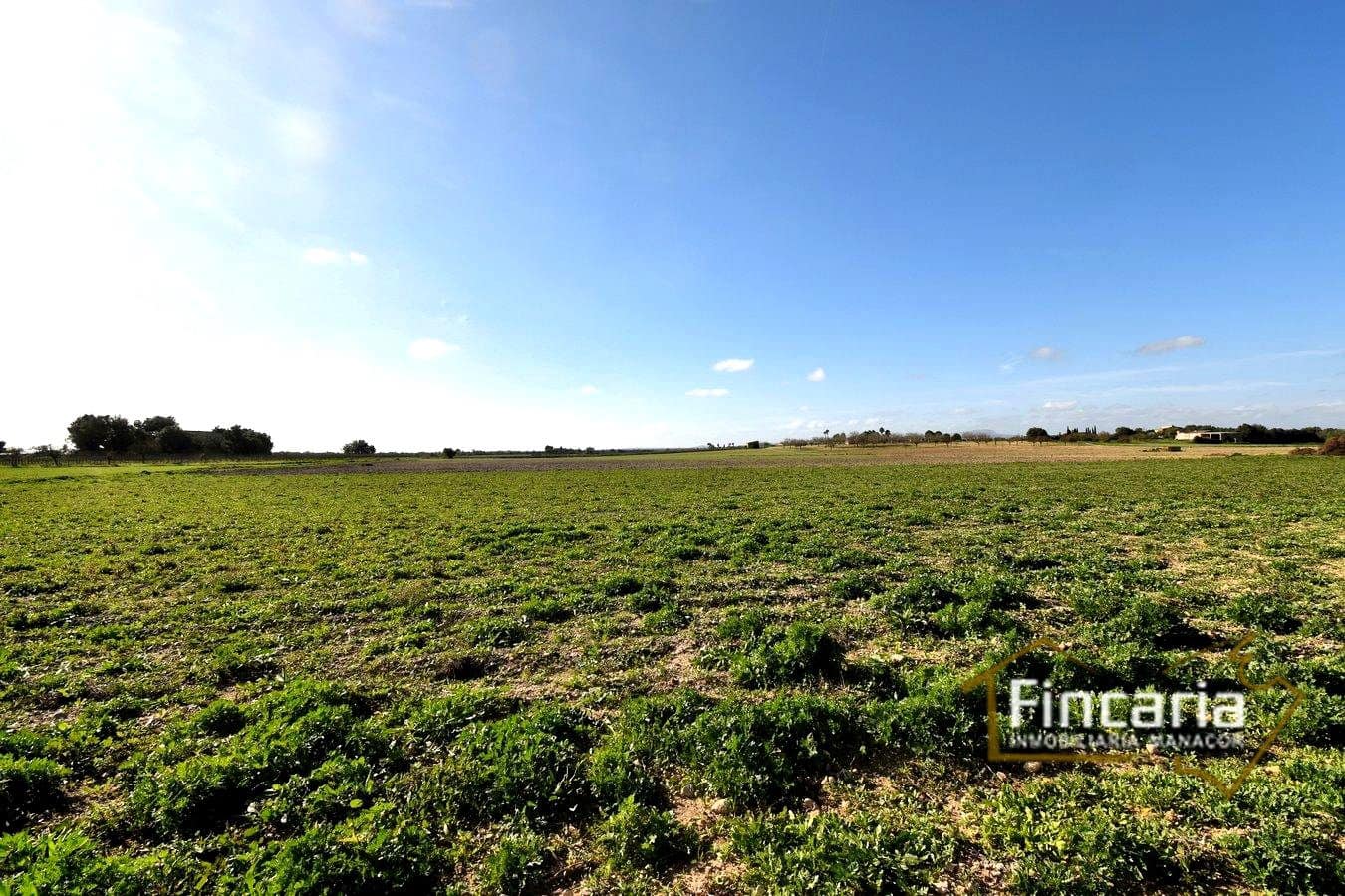 Teren niezagospodarowany na sprzedaż w Felanitx - 169 000 € (Ref: 8822755)