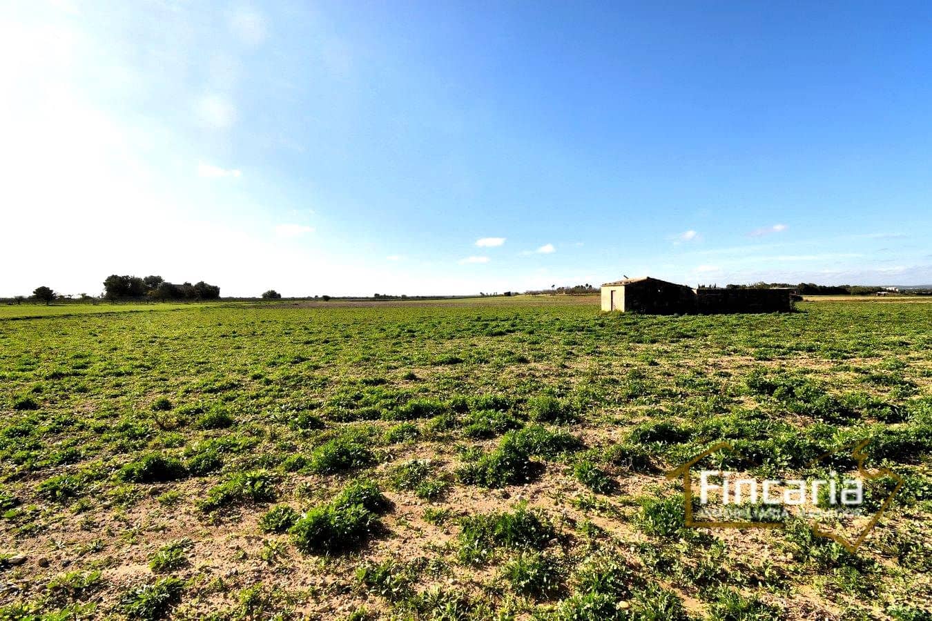 Teren niezagospodarowany na sprzedaż w Felanitx - 169 000 € (Ref: 8822755)